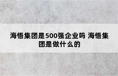 海悟集团是500强企业吗 海悟集团是做什么的